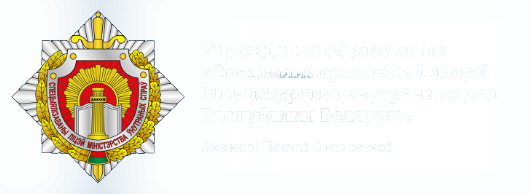 Учреждение образования «Специализированный лицей Министерства внутренних дел Республики Беларусь».