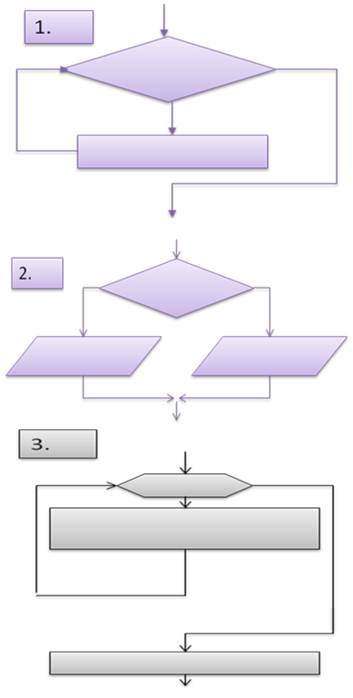 ris3