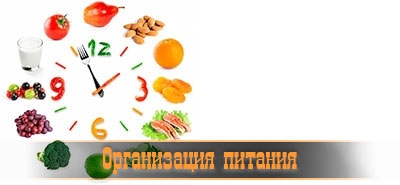 Организация питания