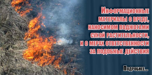Информационные материалы о вреде, наносимом поджогами сухой растительности, и о мерах ответственности за подобные действия
