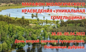 День второй заочного путешествия. Пойменная дубрава.