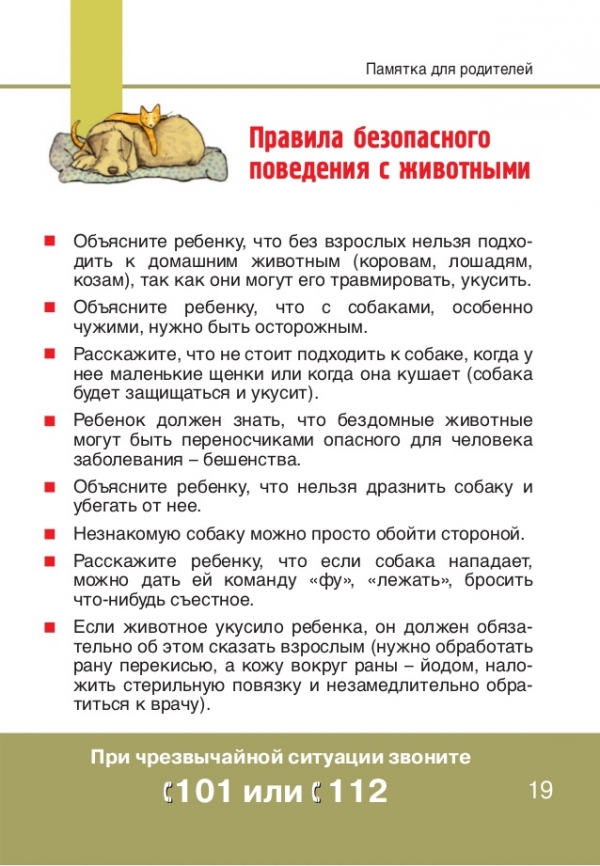 Правила безопасного поведения с животными