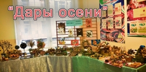 Дары осени