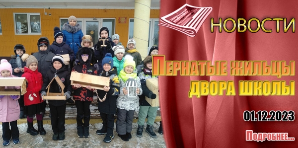 Пернатые жильцы двора школы
