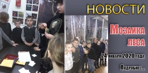 «Мозаика леса»