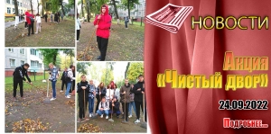 Акция «Чистый двор»