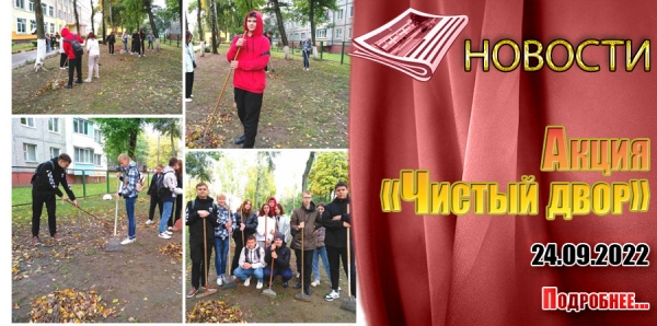 Акция «Чистый двор»