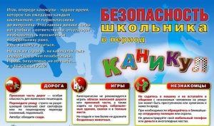 Безопасность школьника