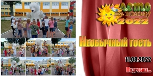Необычный гость
