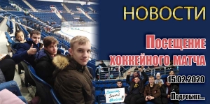 Посещение хоккейного матча