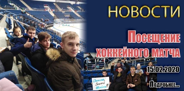 Посещение хоккейного матча