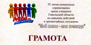 Благодарность за подготовку команды