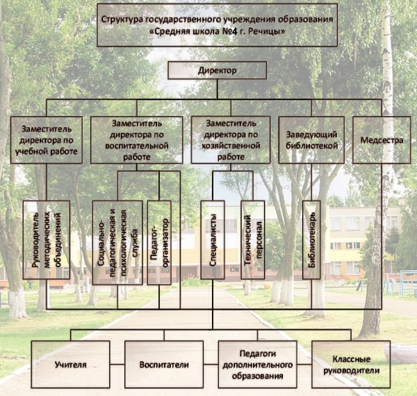 Структура учреждения образования