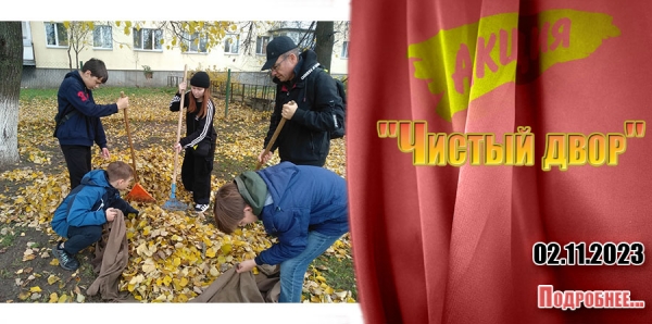 02.11.2023 - &quot;Чистый двор&quot;