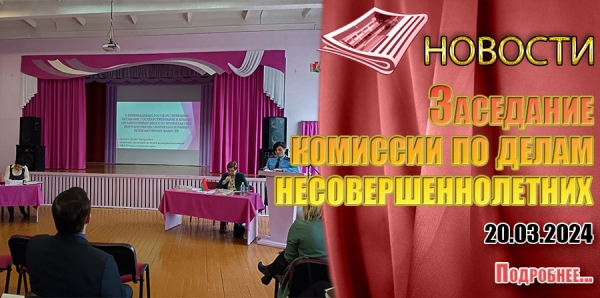 Заседание комиссии по делам несовершеннолетних