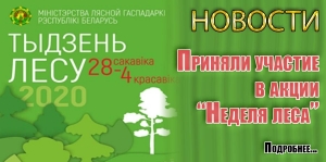 Приняли участие в акции &quot;Неделя леса&quot;