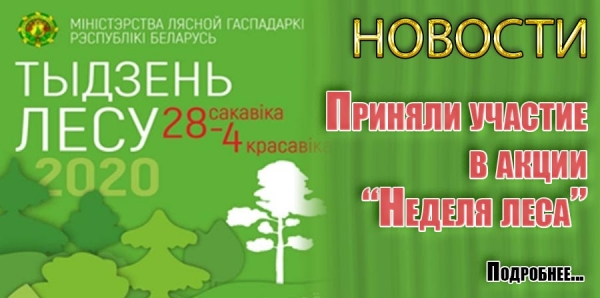 Приняли участие в акции &quot;Неделя леса&quot;