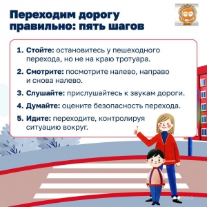 Переходим дорогу правильно: пять шагов