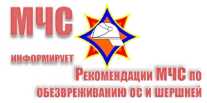 Рекомендации МЧС по обезвреживанию ос и шершней
