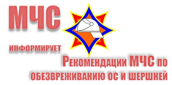 Рекомендации МЧС по обезвреживанию ос и шершней