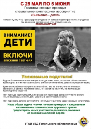Внимание дети!