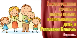 Государственные гарантии и льготы семьям, воспитывающим детей, в Республике Беларусь