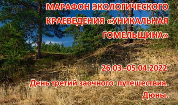 День третий заочного  путешествия. Дюны