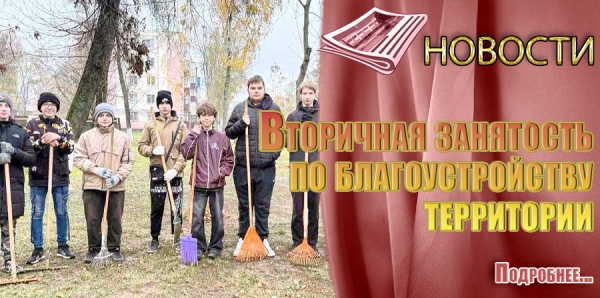 Вторичная занятость по благоустройству территории