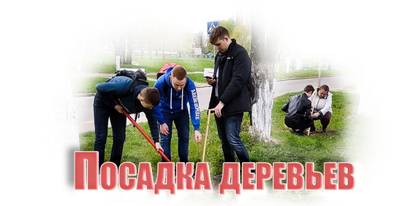 Посадка деревьев