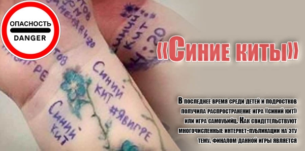 «Синие киты»